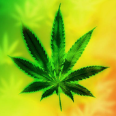 Marihuana Animowane Tapety ikona