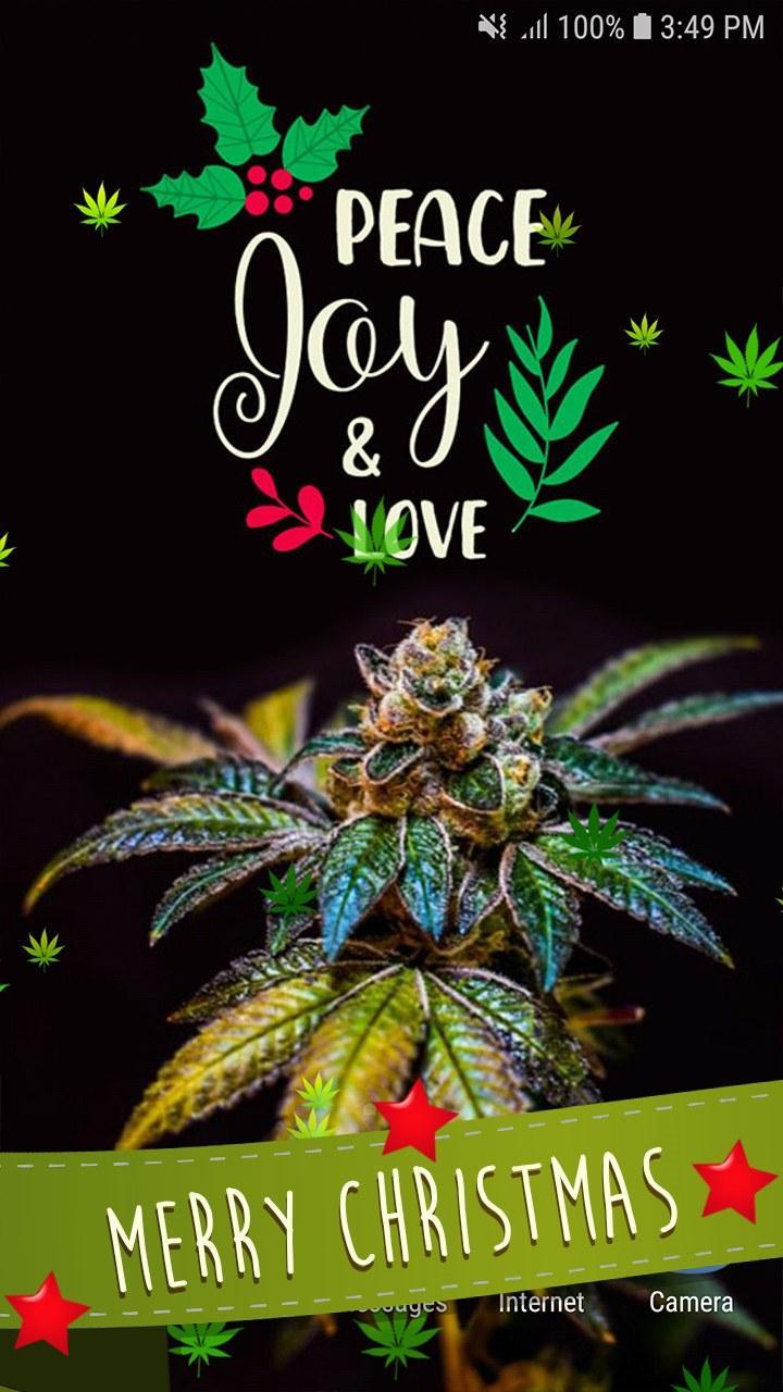 Weed Live Wallpaper for Android - APK Download