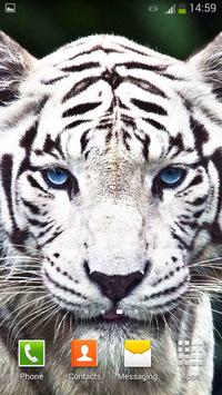 Tigre Branco Papel De Parede Para Android Apk Baixar