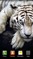 White Tiger Live Wallpaper screenshot 1