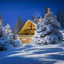 Cute winter wallpapers APK