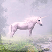 Unicorn Live Wallpaper