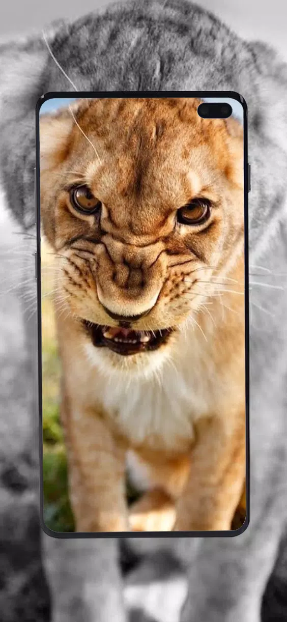 Descarga de APK de Fondos de animales lindos y de neón para Android Descarga de APK de Fondos de animales lindos y de neón para Android