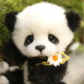 Panda Wallpaper