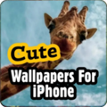 cute wallpapers for iphone