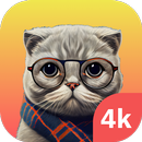 Cute cats wallpapers 4K APK