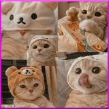 Wallpaper Cute Cat