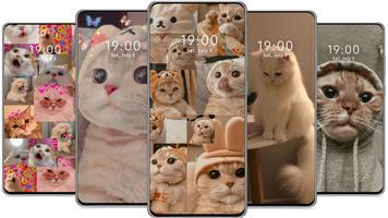 پوستر Cute Cat Wallpaper