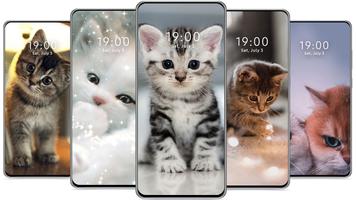 برنامه‌نما Cute Cat Wallpaper عکس از صفحه