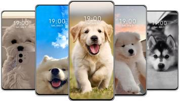 پوستر Cute Dog Wallpaper