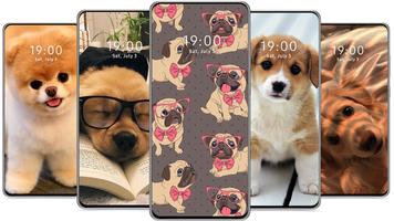 برنامه‌نما Cute Dog Wallpaper عکس از صفحه