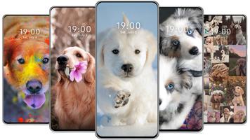 برنامه‌نما Cute Dog Wallpaper عکس از صفحه