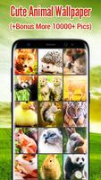 Cute Animal Wallpapers poster