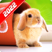 Cute Animal Wallpaper