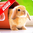 Cute Animal Wallpaper icon