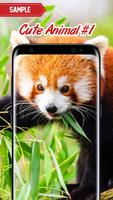 Cute Animal Wallpaper poster