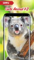 Cute Animal Wallpaper screenshot 1