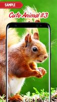 Cute Animal Wallpaper screenshot 2
