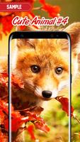Cute Animal Wallpaper screenshot 3