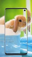 cute animals wallpaper پوسٹر