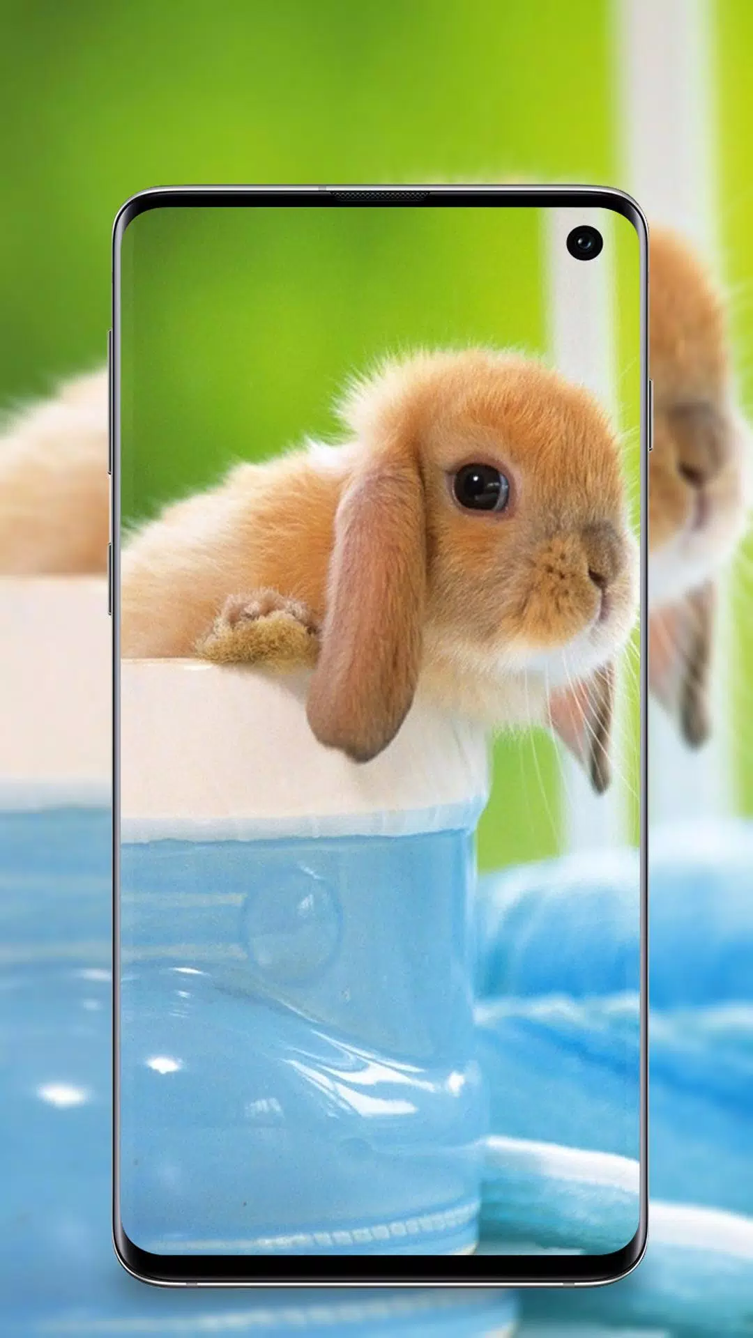 かわいい動物の壁紙 For Android Apk Download かわいい動物の壁紙 For Android Apk Download