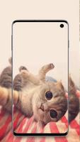 cute animals wallpaper اسکرین شاٹ 1