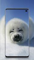 cute animals wallpaper اسکرین شاٹ 2
