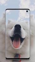 cute animals wallpaper اسکرین شاٹ 3