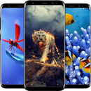 Cool Animals Wallpapers-APK