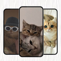 Cute Cat Wallpaper