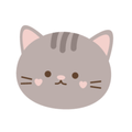 Cute Cat Wallpaper