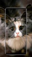 Fonds d'écran de chats mignons capture d'écran 3