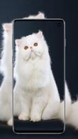 Fonds d'écran de chats mignons capture d'écran 1