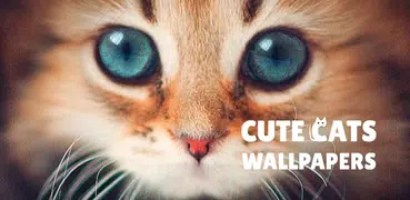 Cute Cats Live Wallpaper