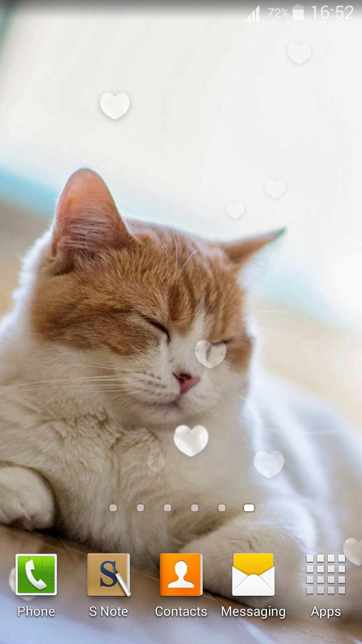 Android 用の かわいい猫 ライブ壁紙 Apk をダウンロード