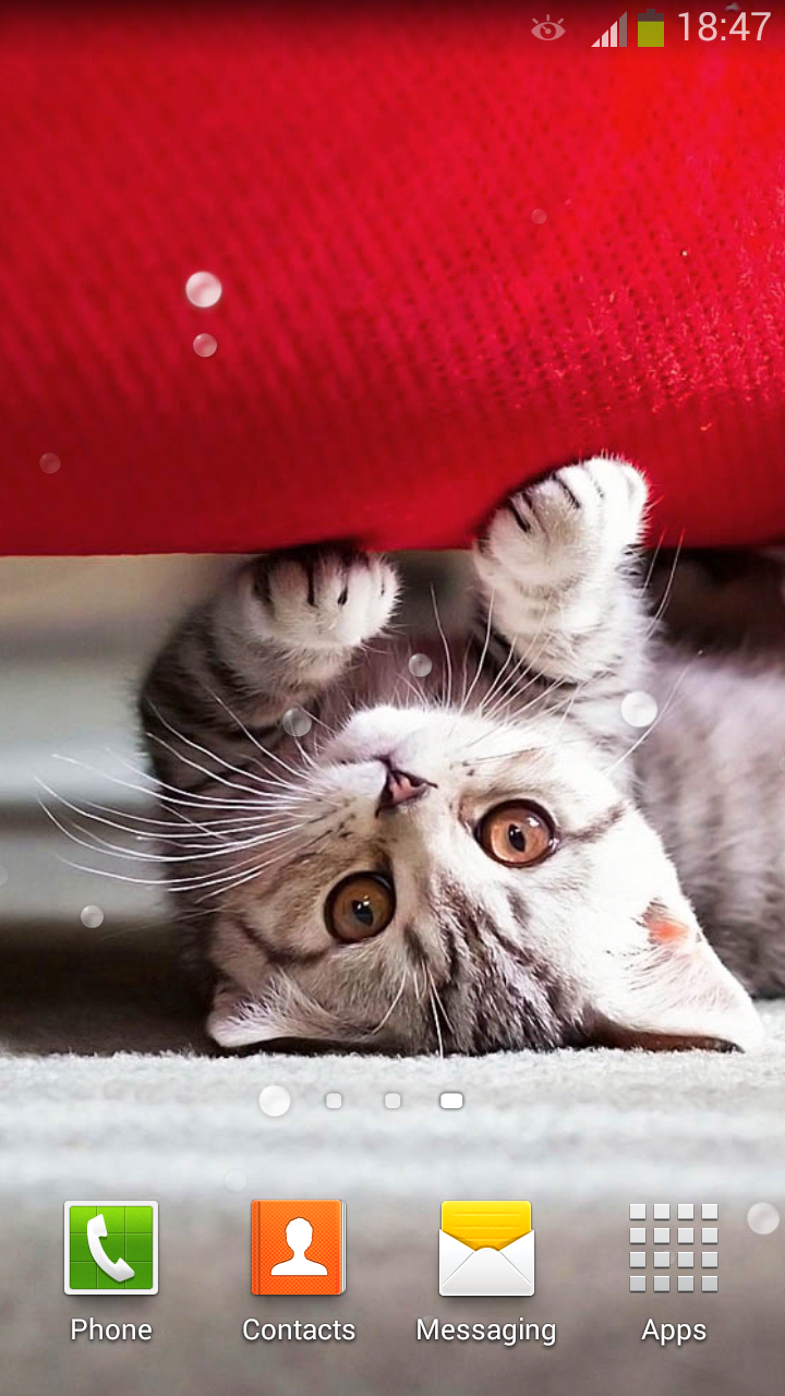 無料で かわいい猫 ライブ壁紙 アプリの最新版 Apk4 2をダウンロードー Android用 かわいい猫 ライブ壁紙 Apk の最新バージョンをダウンロード Apkfab Com Jp 無料で かわいい猫 ライブ壁紙 アプリの最新版 Apk4 2をダウンロードー Android用 かわいい猫 ライブ壁紙 Apk の最新バージョンをダウンロード Apkfab Com Jp