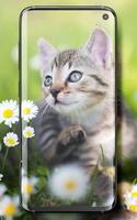 Cute Cats Live Wallpaper স্ক্রিনশট 1