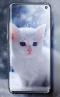 सुंदर बिल्लियों लाइव वॉलपेपर स्क्रीनशॉट 2