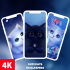 Cute Cats Wallpaper آئیکن