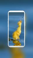 Cute Duck Wallpaper স্ক্রিনশট 1