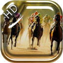 APK Equestrian Sport Live WP