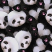 ”Cute Panda Wallpapers