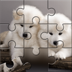 Puzzle Chiot: Jeu De Puzzle