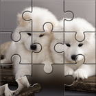 Cute Puppy Jigsaw Puzzles 圖標