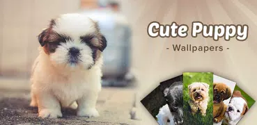 Cute Puppy Wallpapers