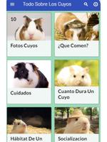 Cuyos 截图 1