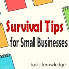 Survival Tips for Small Businesses 圖標