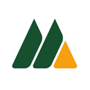 MFL TEAM APK