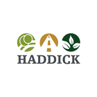 Haddick icône