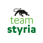 team styria icon